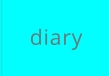 diary